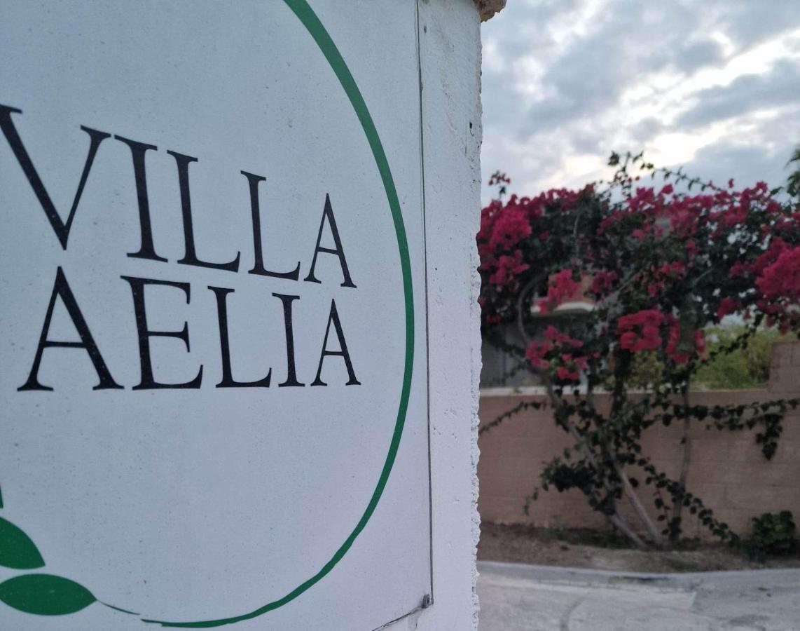Aelia House Kefalos - Cozy & Quiet Bagian luar foto